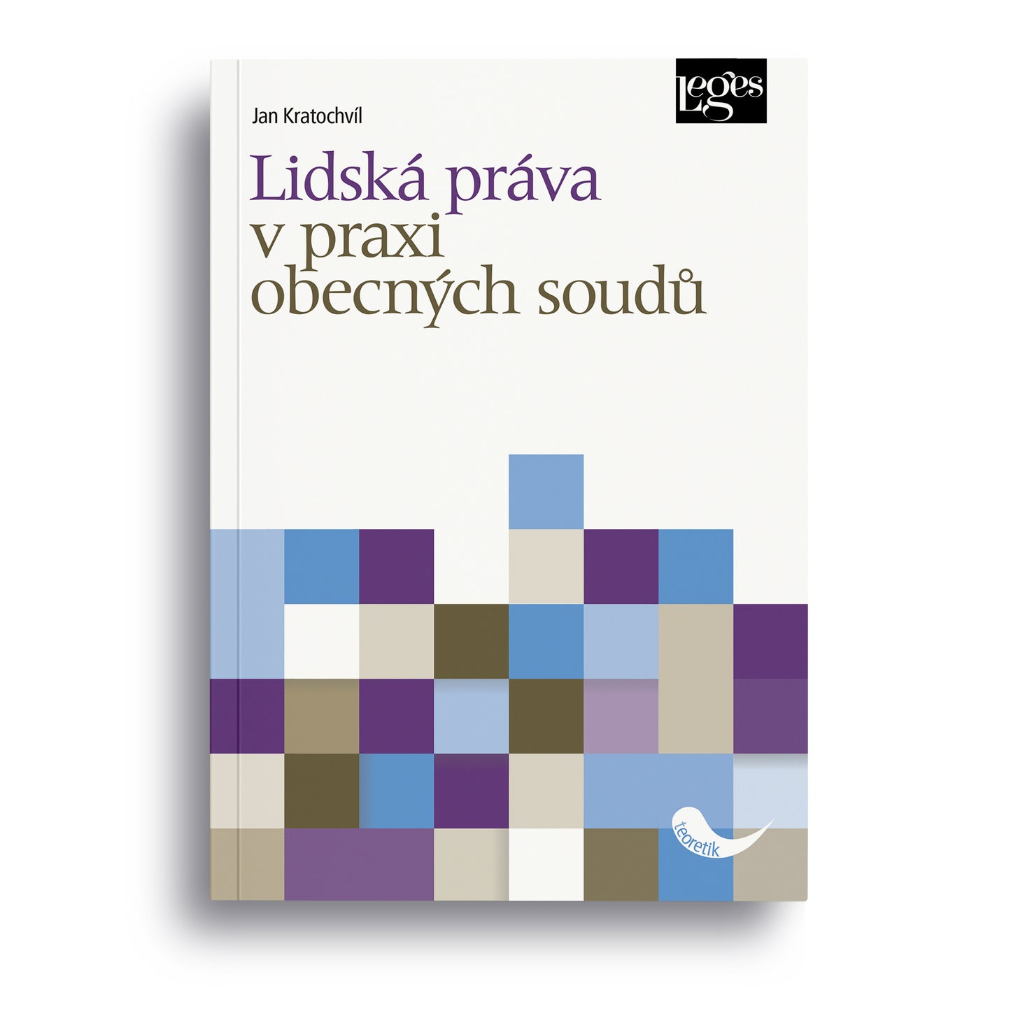 Lidská práva v praxi obecných soudů