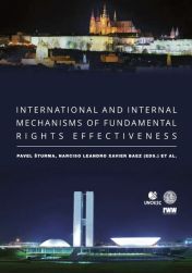 International and internal mechanisms of fundamental rights effectiveness