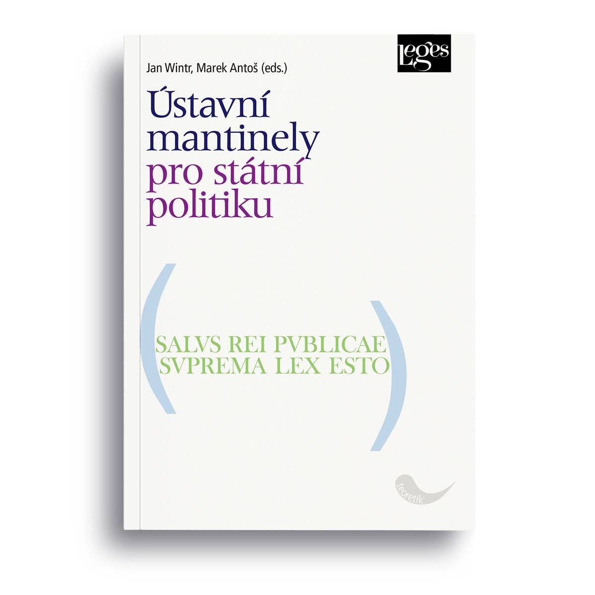 Ústavní mantinely pro státní politiku